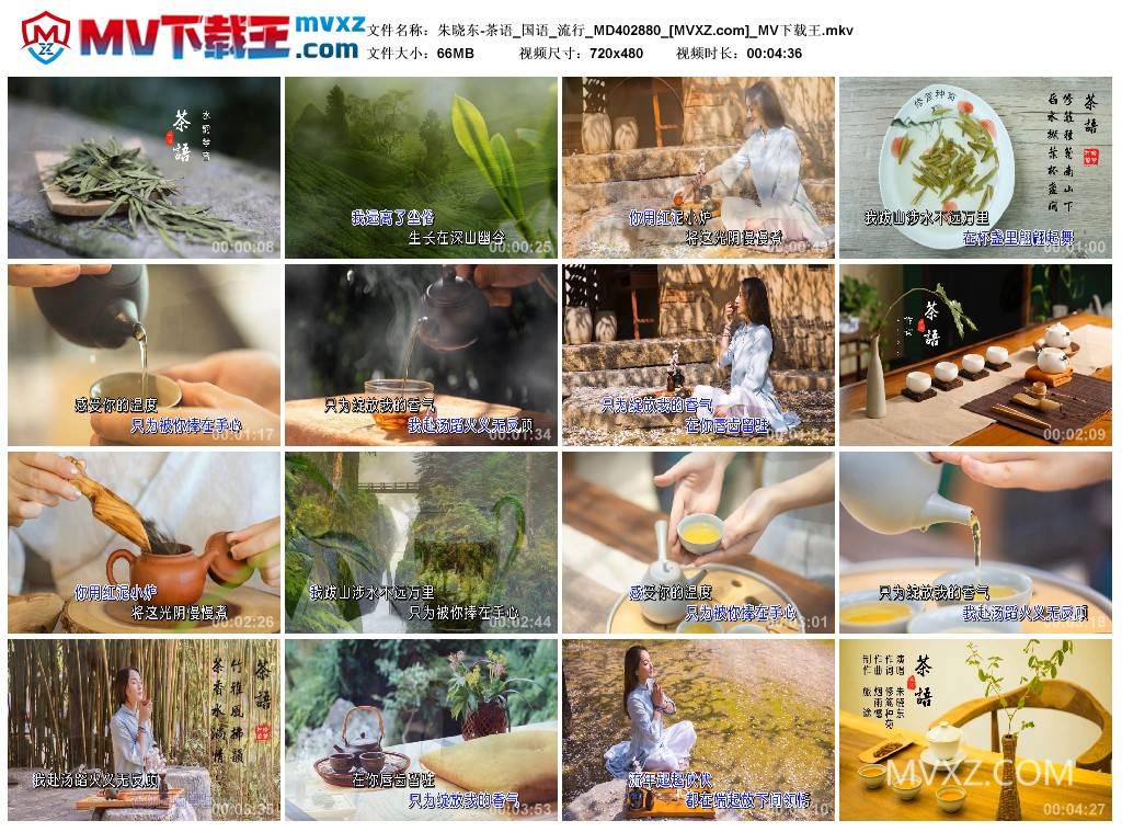 朱晓东-茶语_国语_流行_MD402880